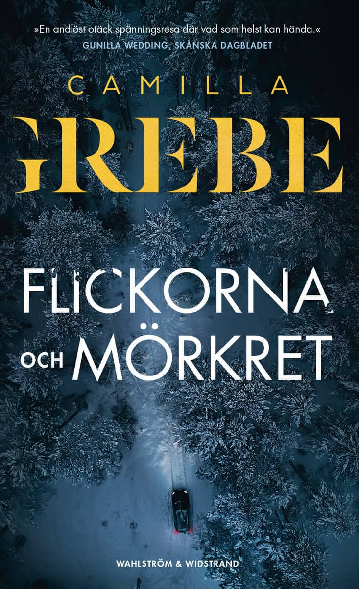 Camilla Grebe : Flickorna och Mörkret