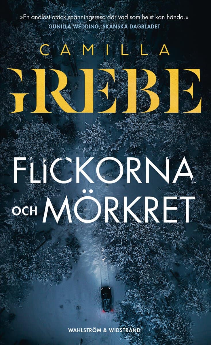 Camilla Grebe : Flickorna och Mörkret