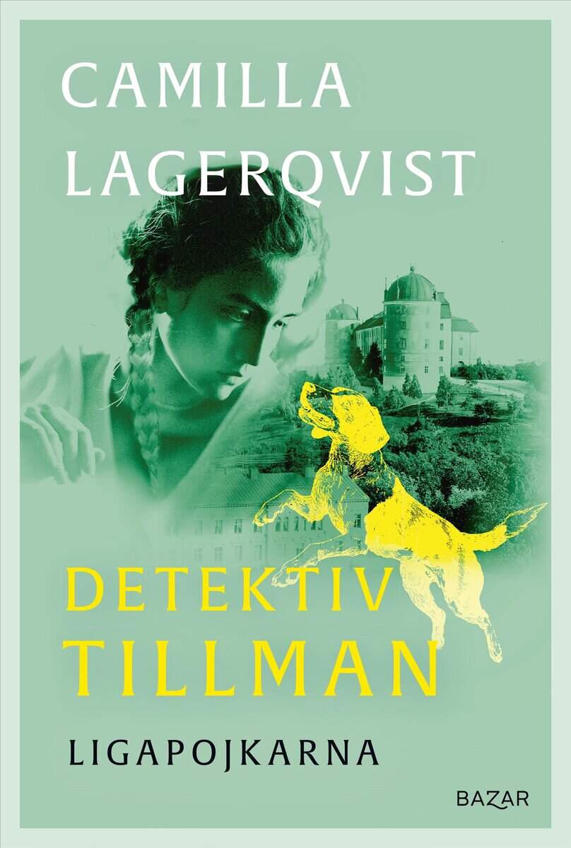 Camilla Lagerqvist : Ligapojkarna