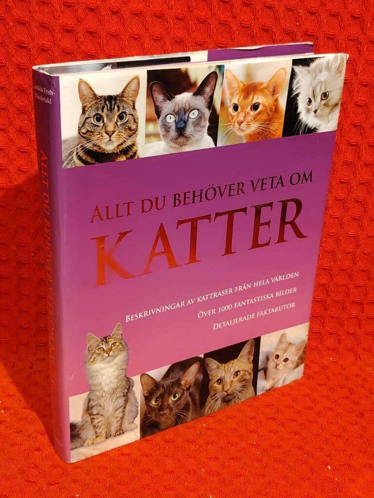 Candida Frith-Macdonald : Allt du behöver veta om katter