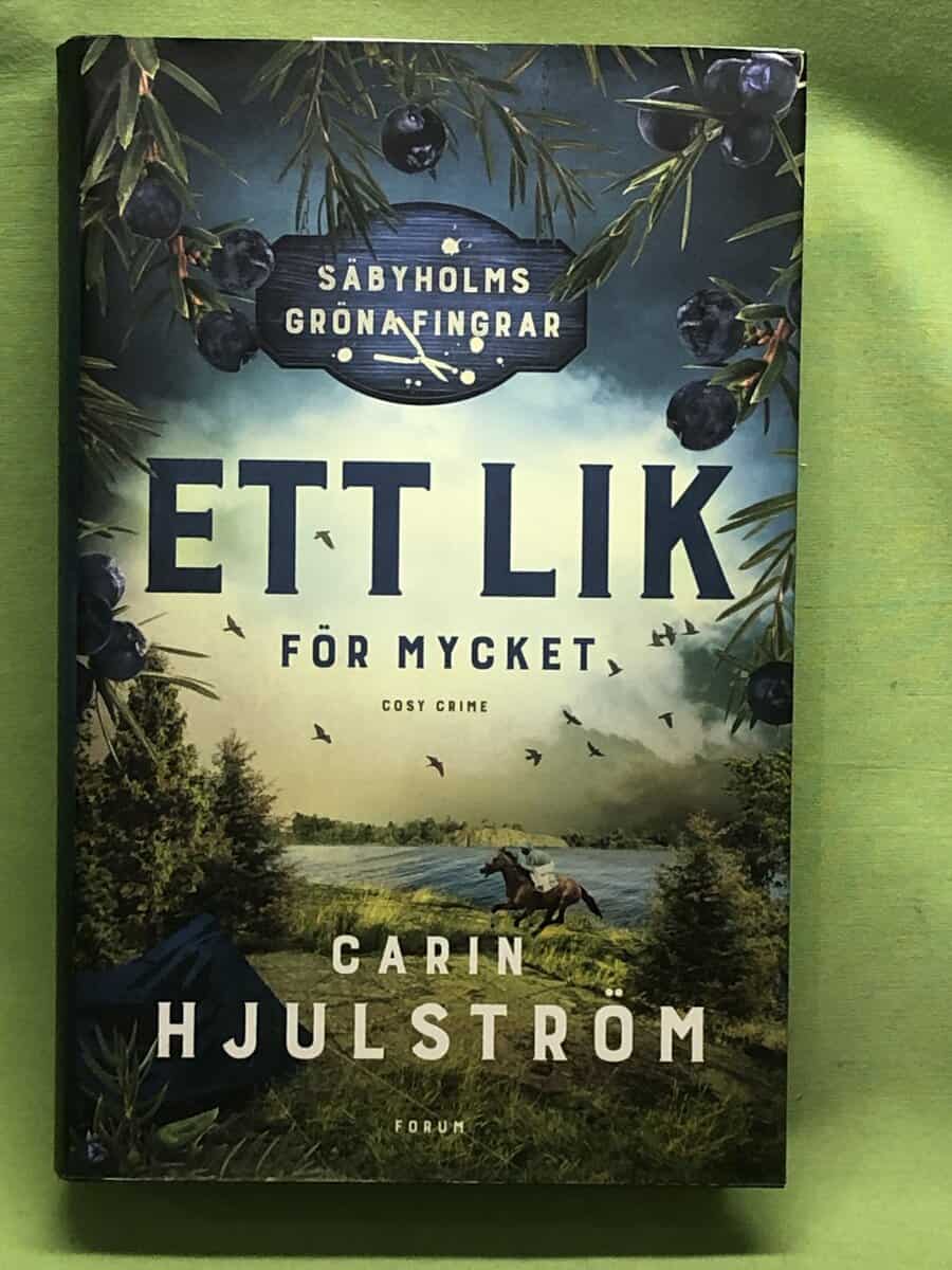 Carin Hjulström : Ett lik för mycket