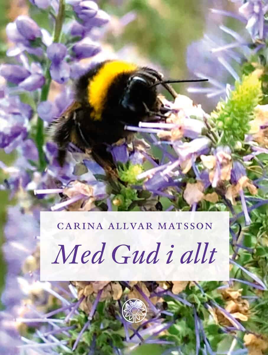 Carina Allvar Matsson : Med Gud i allt