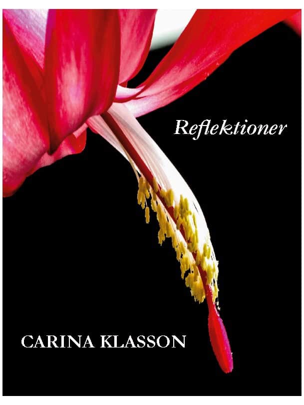Carina Klasson : Reflektioner