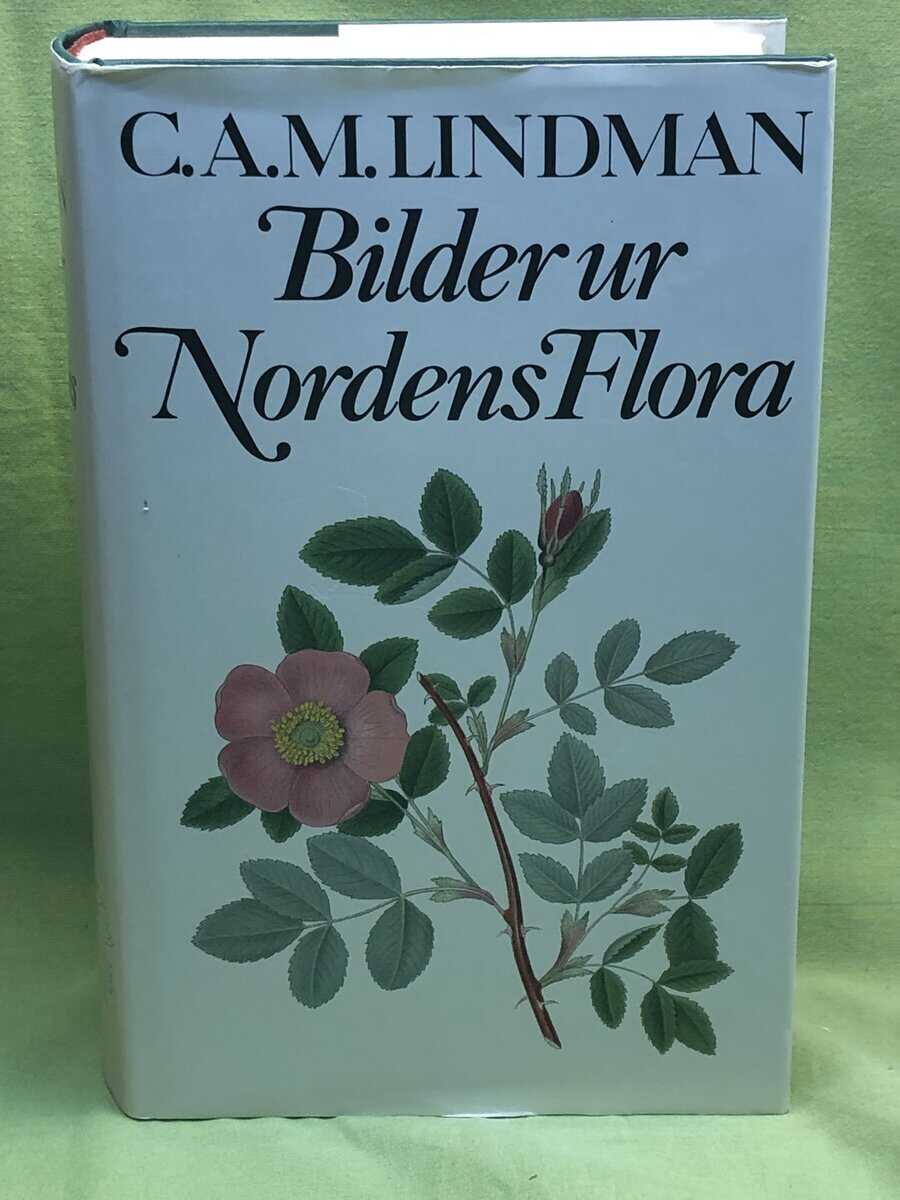 Carl Axel Magnus Lindman : Bilder ur Nordens flora