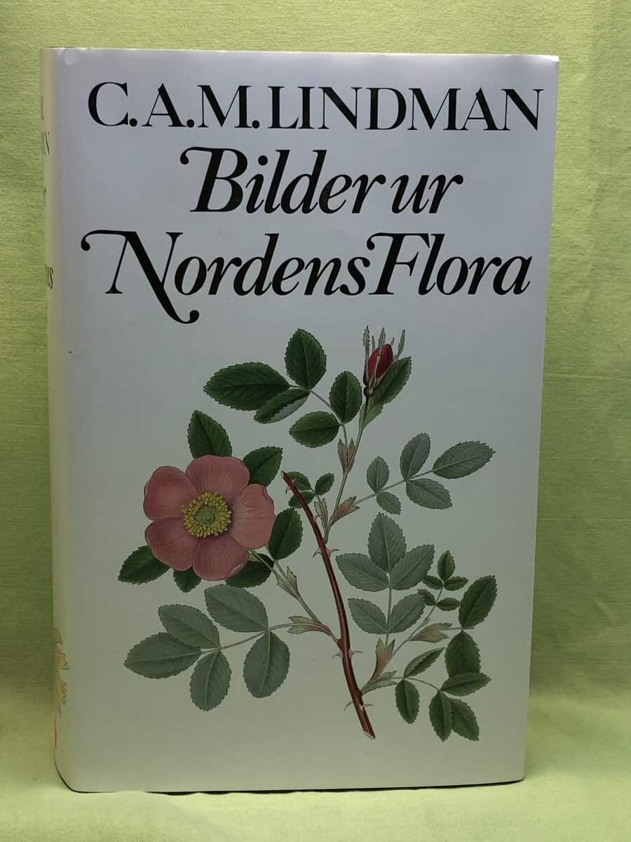 Carl Axel Magnus Lindman : Bilder ur Nordens flora