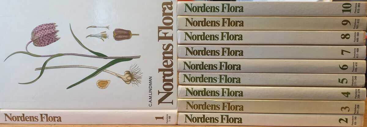 Carl Axel Magnus Lindman : Nordens flora 1-10 (komplett)