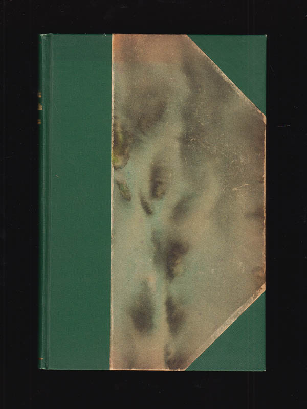 Carl Forsstrand : Carl von Linnés Öländska resa förrättad 1741