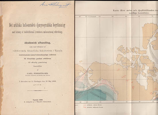 Carl Forsstrand : Det arktiska hafsområdets djurgeografiska begränsning med ledning af skalkräftornas (Crustacea malacostraca) utbredning