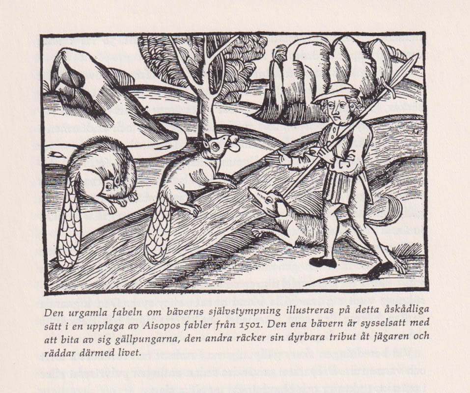 Carl Fries : Bäverland