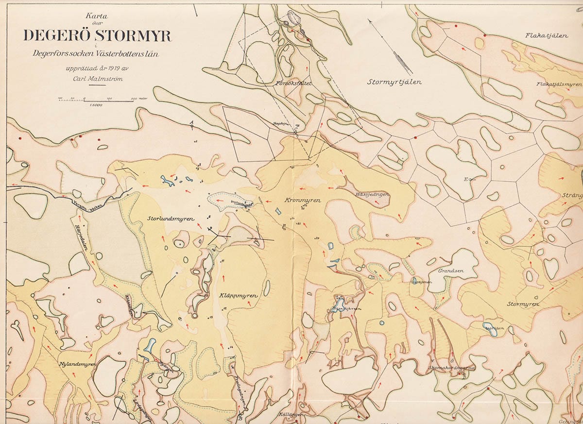 Carl Malmström : Degerö stormyr. En botanisk, hydrologisk och utvecklingshistorisk undersökning över ett nordsvenskt myrkomplex