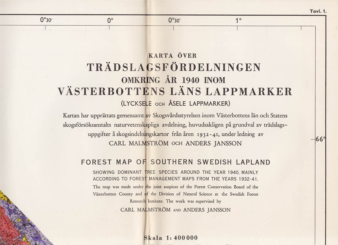 Carl Malmström : Studier över skogstyper och trädslagsfördelning inom Västerbottens län. tudien über Waldtypen und Baumartenverteilung im Län Västerbotten