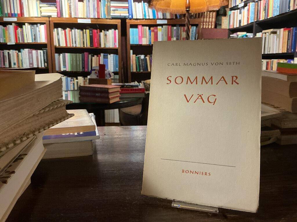 Carl Martins Von Seth : Sommarväg