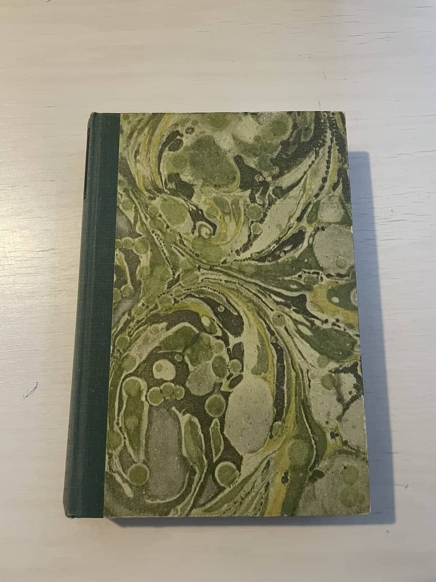 Carl Schøyen : I sameland