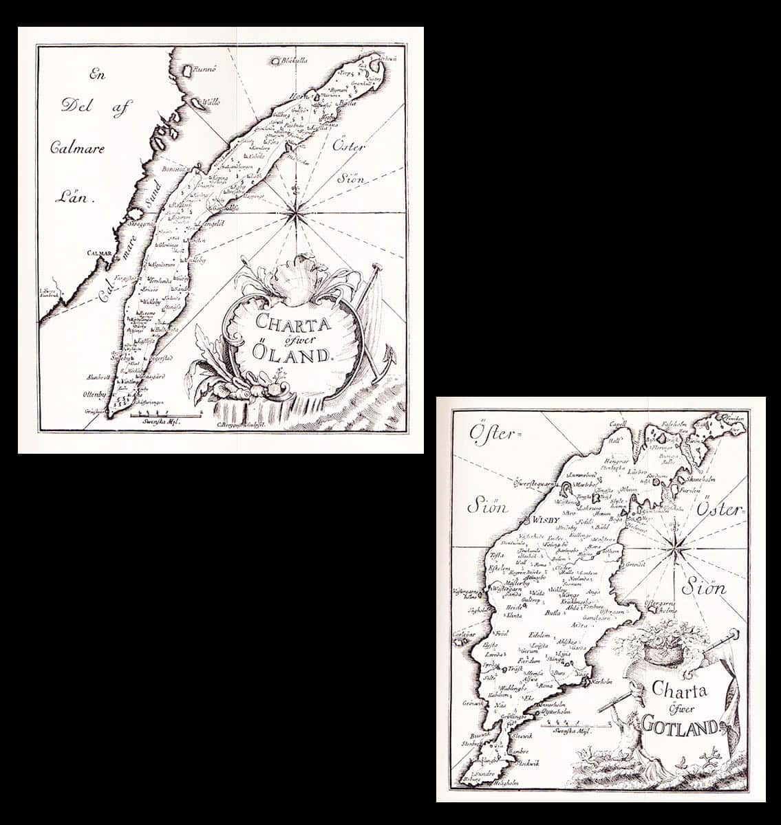 Carl von Linné : Öländska och Gotländska resa på riksens höglovlige ständers befallning förrättad år 1741