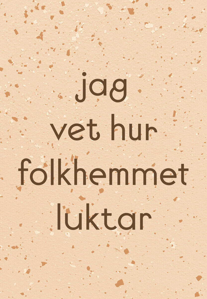 Carlsson, Tina ; Hultman, Petra ; Brolin, Kalle ; Heberling, Rikard ; Johansson, Ingela ; Jordahl, Anneli ; Matiwos, Simon : Jag vet hur folkhemmet luktar