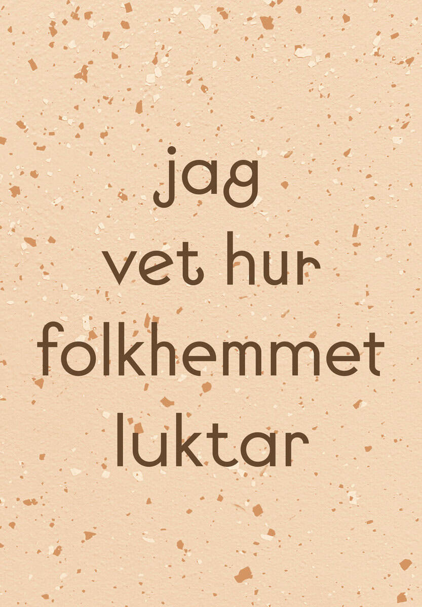 Carlsson, Tina ; Hultman, Petra ; Brolin, Kalle ; Heberling, Rikard ; Johansson, Ingela ; Jordahl, Anneli ; Matiwos, Simon : Jag vet hur folkhemmet luktar