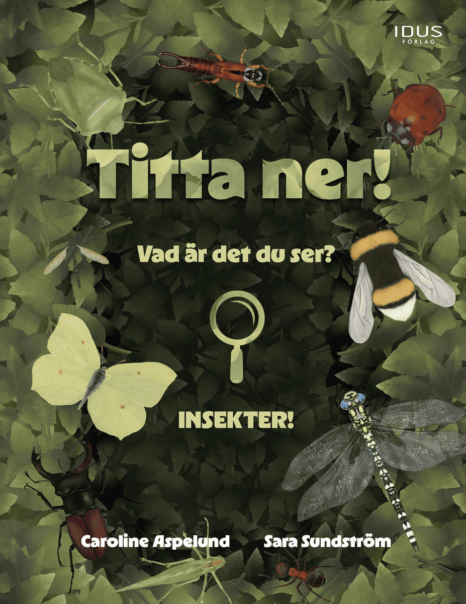 Caroline Aspelund : Titta ner!
