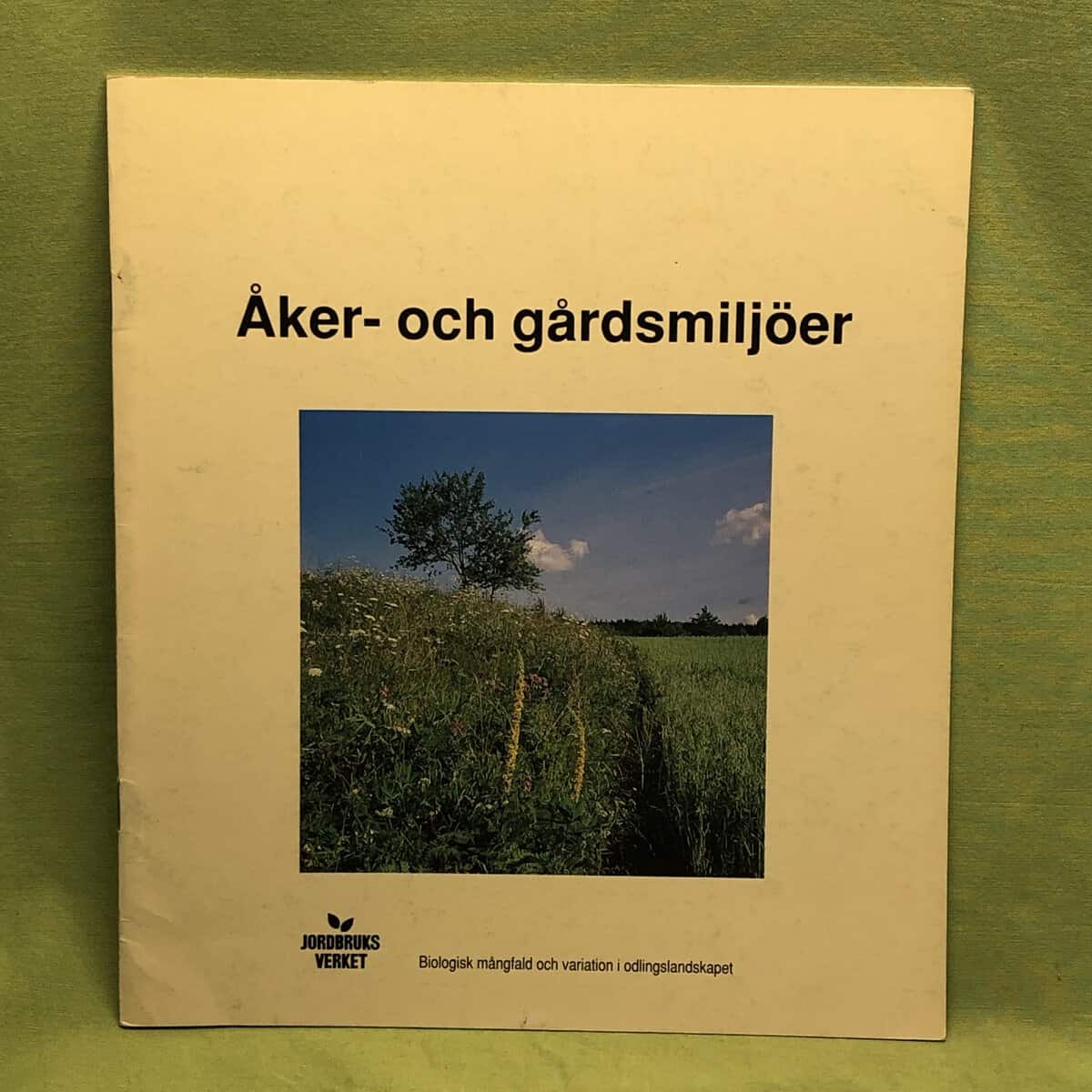 Caroline Edelstam : Åker- och gårdsmiljöer