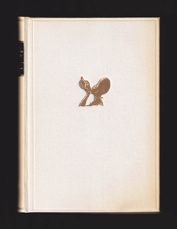 Caroline Mytinger : Med pensel och penna runt Korallhavet