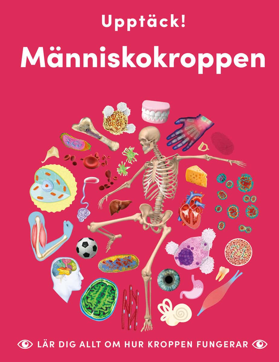 Caroline Stamps : Upptäck människokroppen : lär dig allt om hur kroppen fungerar