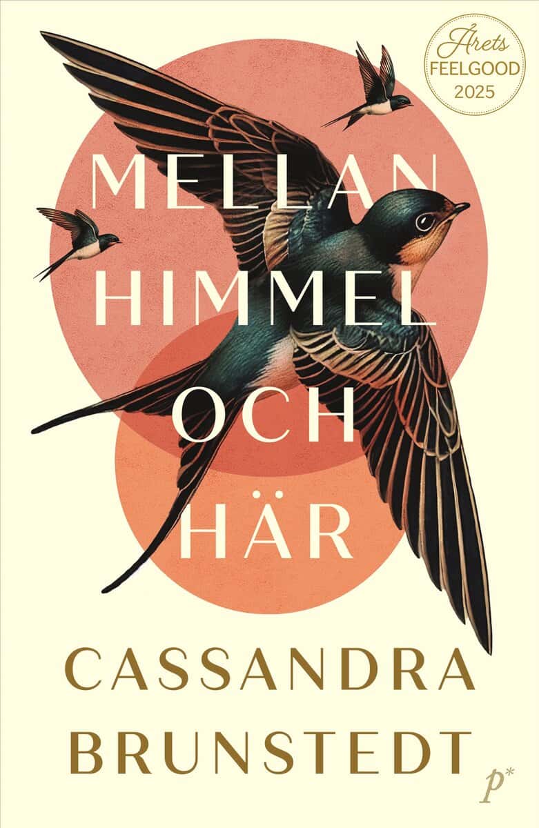 Cassandra Brunstedt : Mellan himmel och här