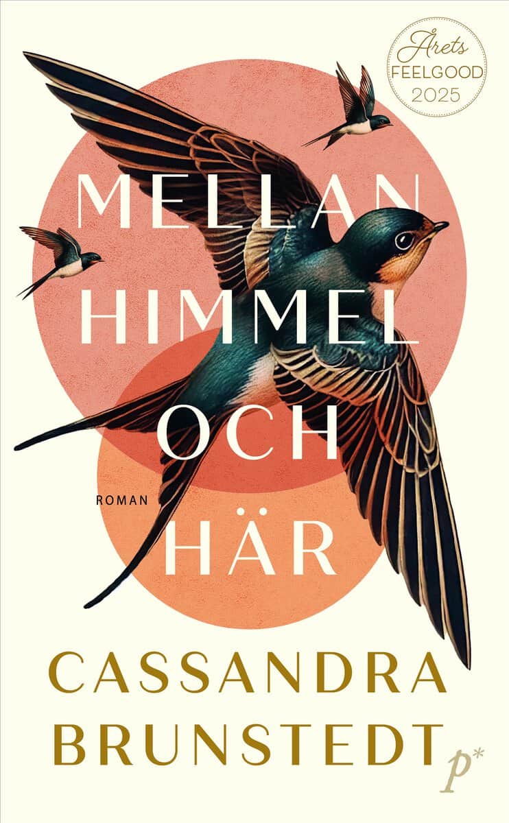 Cassandra Brunstedt : Mellan himmel och här