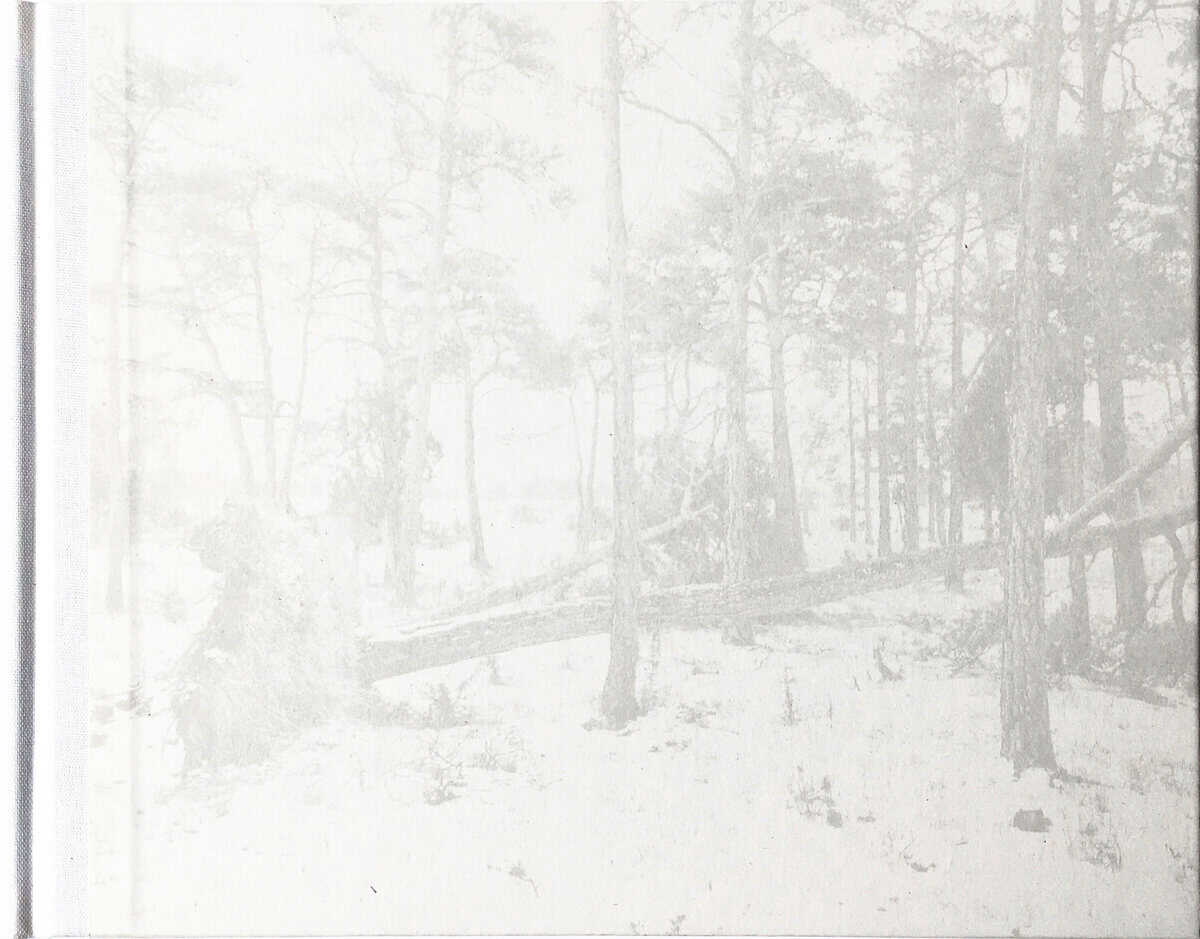 Catharina Gotby : Det är tyst