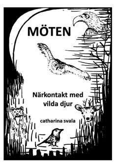 Catharina Svala : Möten : närkontakt med vilda djur