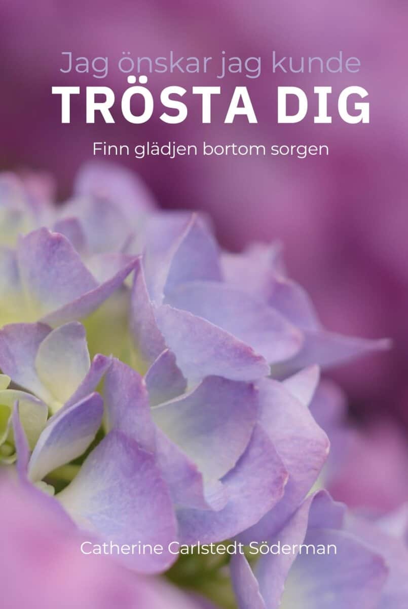 Catherine Carlstedt Söderman : Jag önskar jag kunde trösta dig
