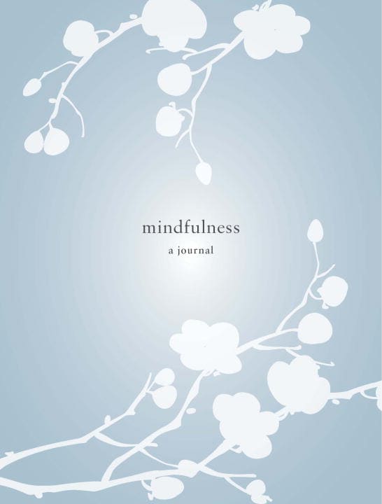 Catherine Price : Mindfulness