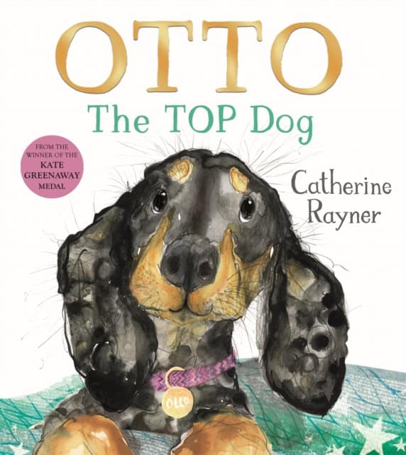 Catherine Rayner : Otto The Top Dog