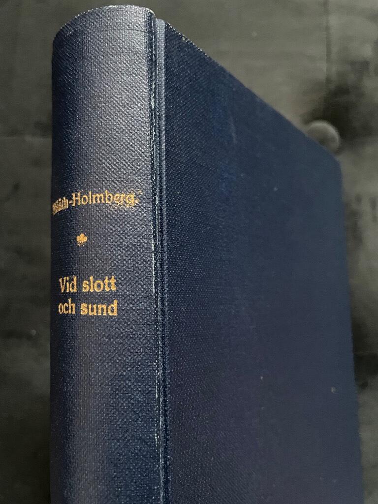 Cecilia Bååth-Holmberg : Vid slott och sund