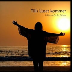 Cecilia Ekhem : Tills ljuset kommer