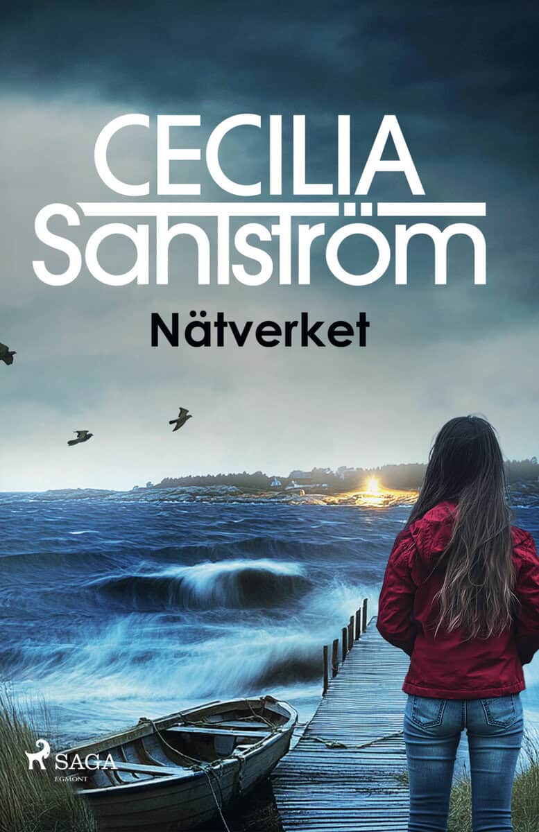 Cecilia Sahlström : Nätverket
