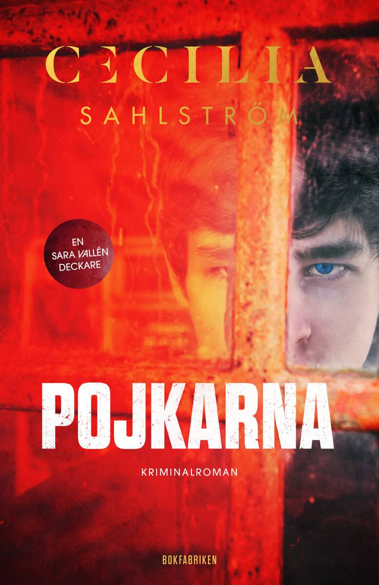 Cecilia Sahlström : Pojkarna