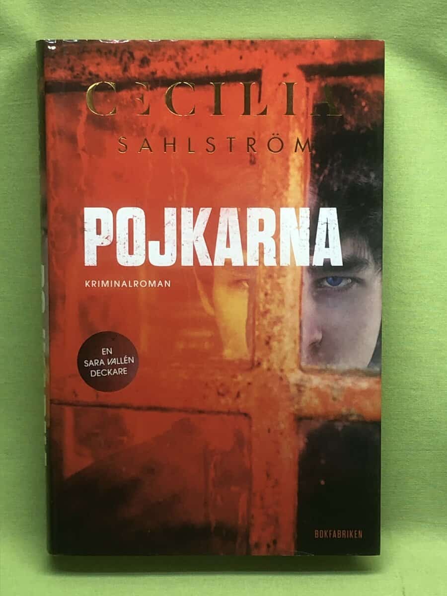 Cecilia Sahlström : Pojkarna - Sara Vallén (del 6)