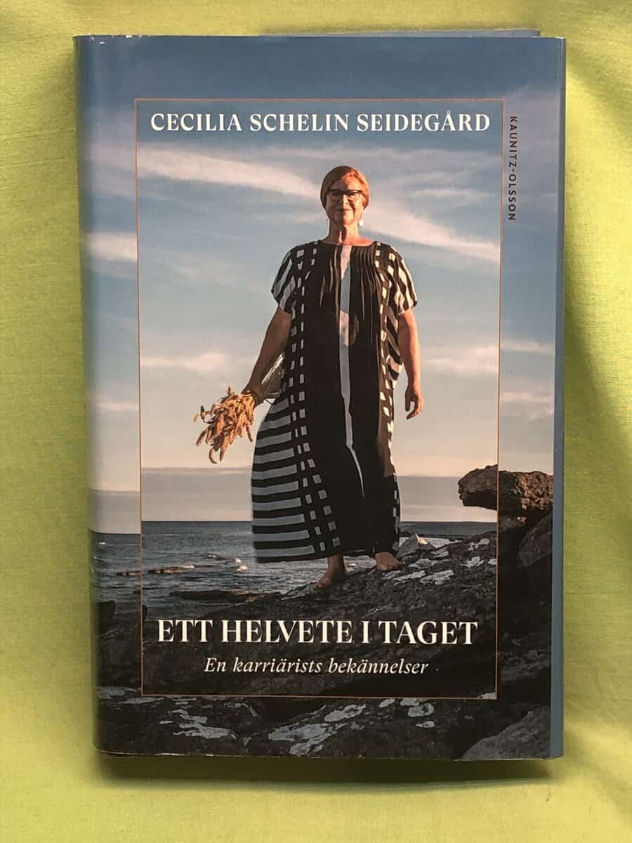 Cecilia Schelin Seidegård : Ett helvete i taget