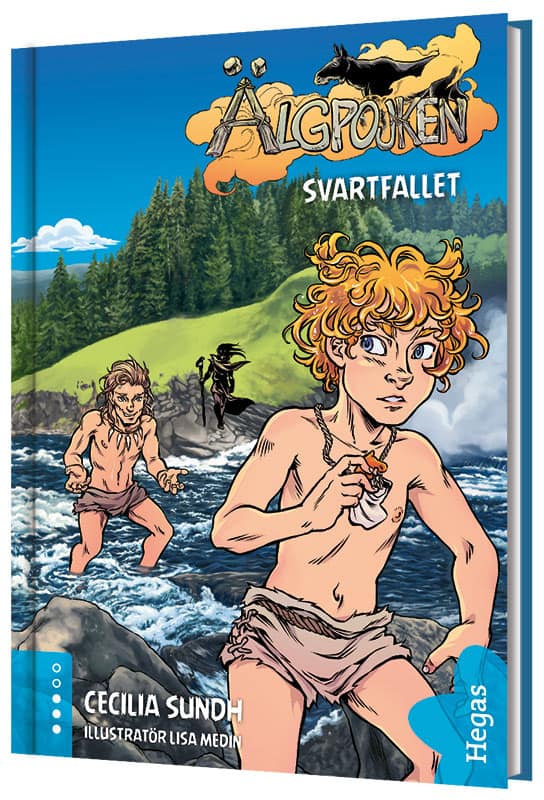 Cecilia Sundh : Svartfallet