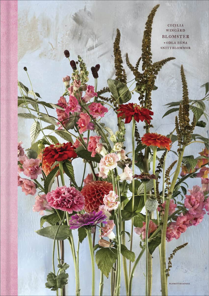 Cecilia Wingård : Blomster:Odla egna snittblommor