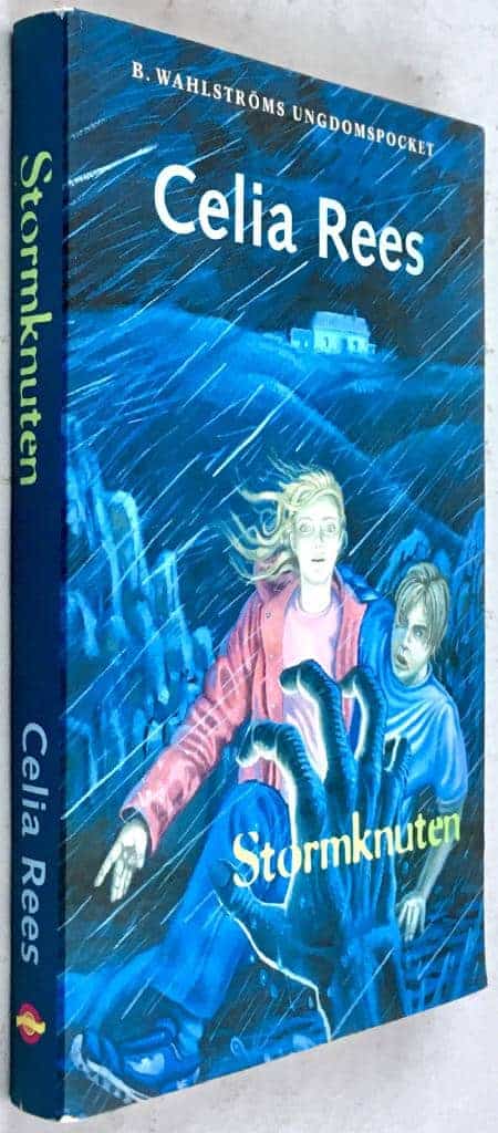 Celia Rees : Stormknuten