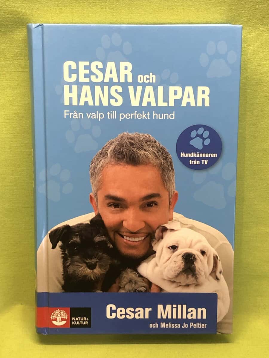 Cesar Millan : Cesar och hans valpar