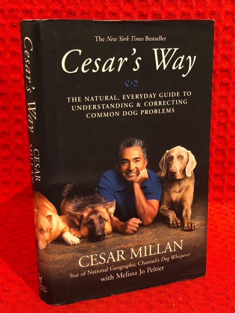 Cesar Millan : Cesar’s Way