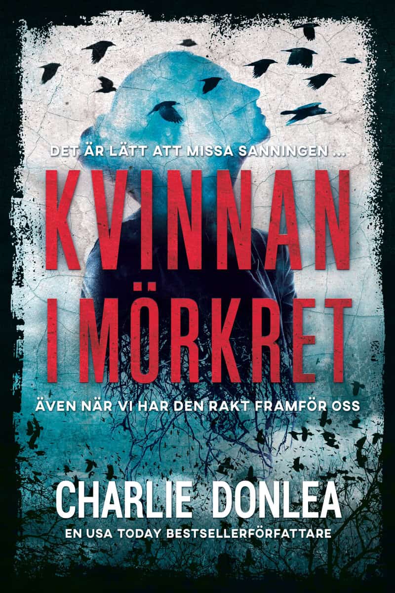 Charlie Donlea : Kvinnan i mörkret