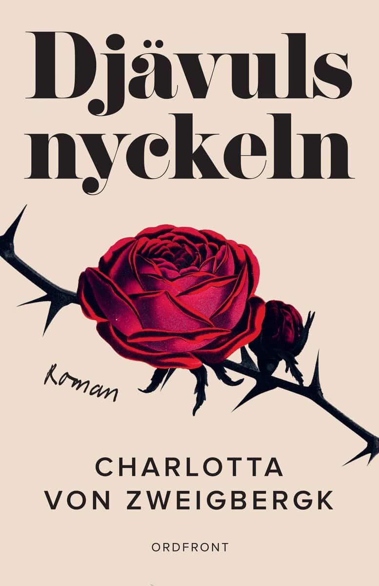 Charlotta von Zweigbergk : Djävulsnyckeln