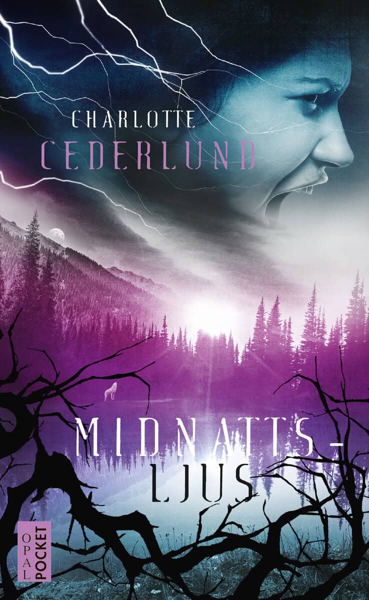 Charlotte Cederlund : Midnattsljus