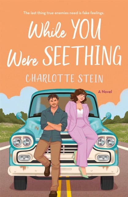 Stein, Charlotte | WHILE YOU WERE SEETHING