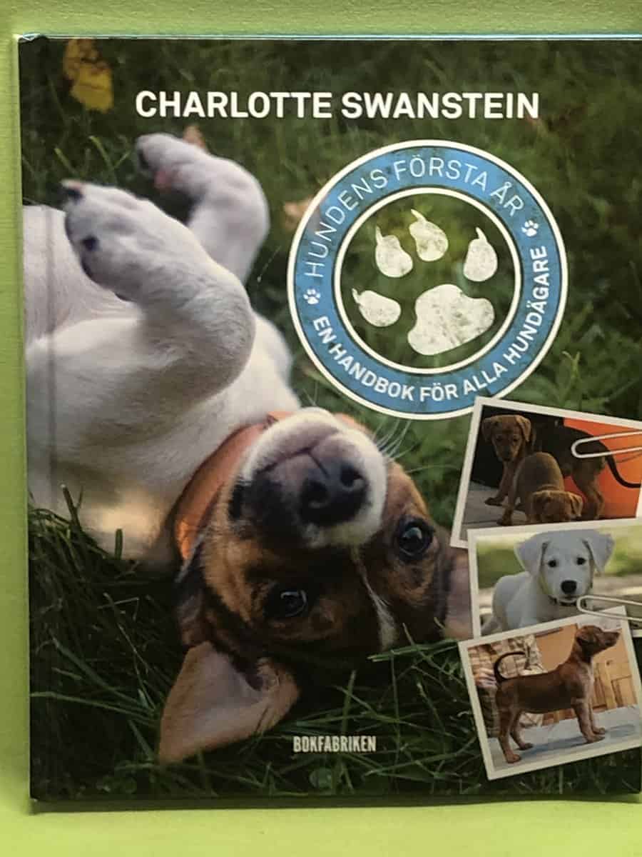 Charlotte Swanstein : Hundens första år