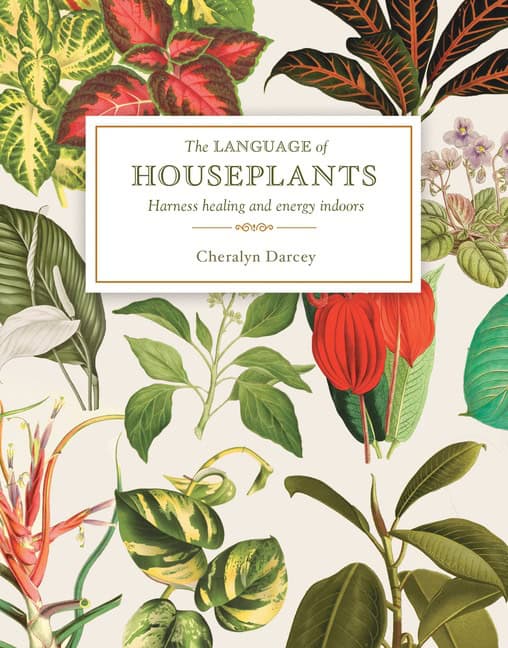 Cheralyn Darcey : The Language of Houseplants