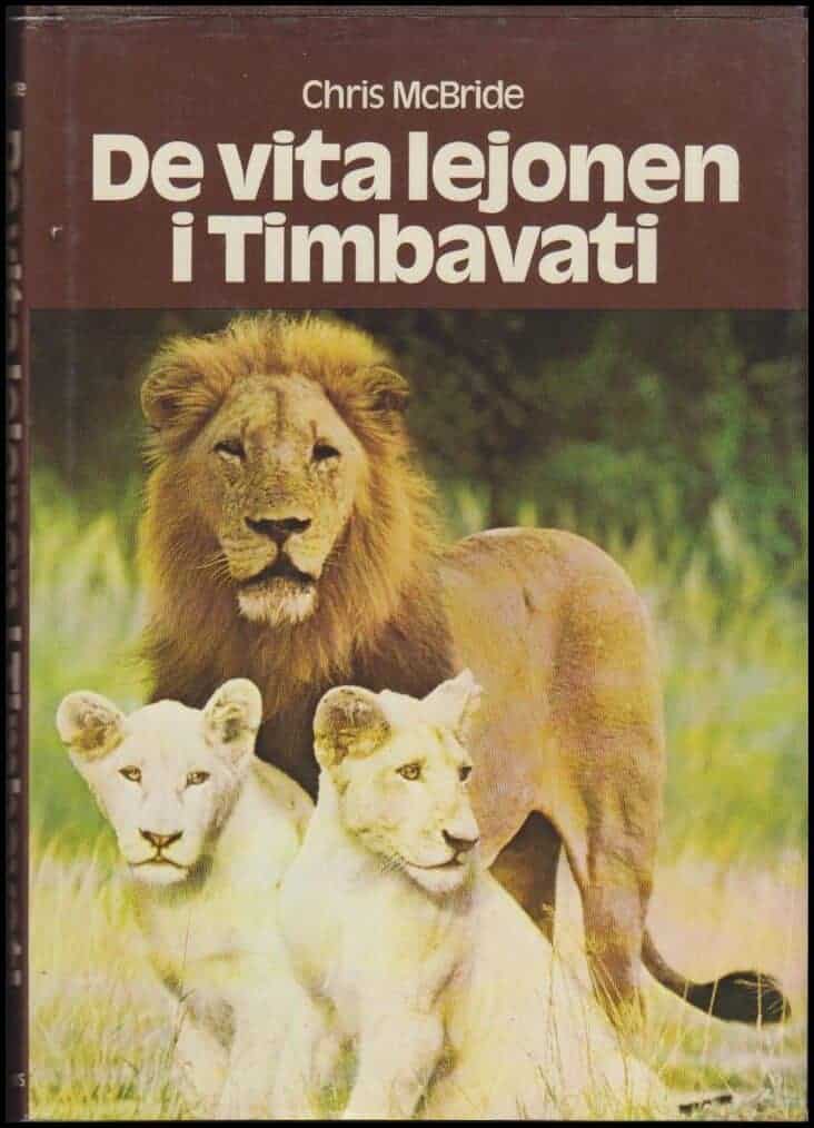 Chris McBride : De vita lejonen i Timbavati