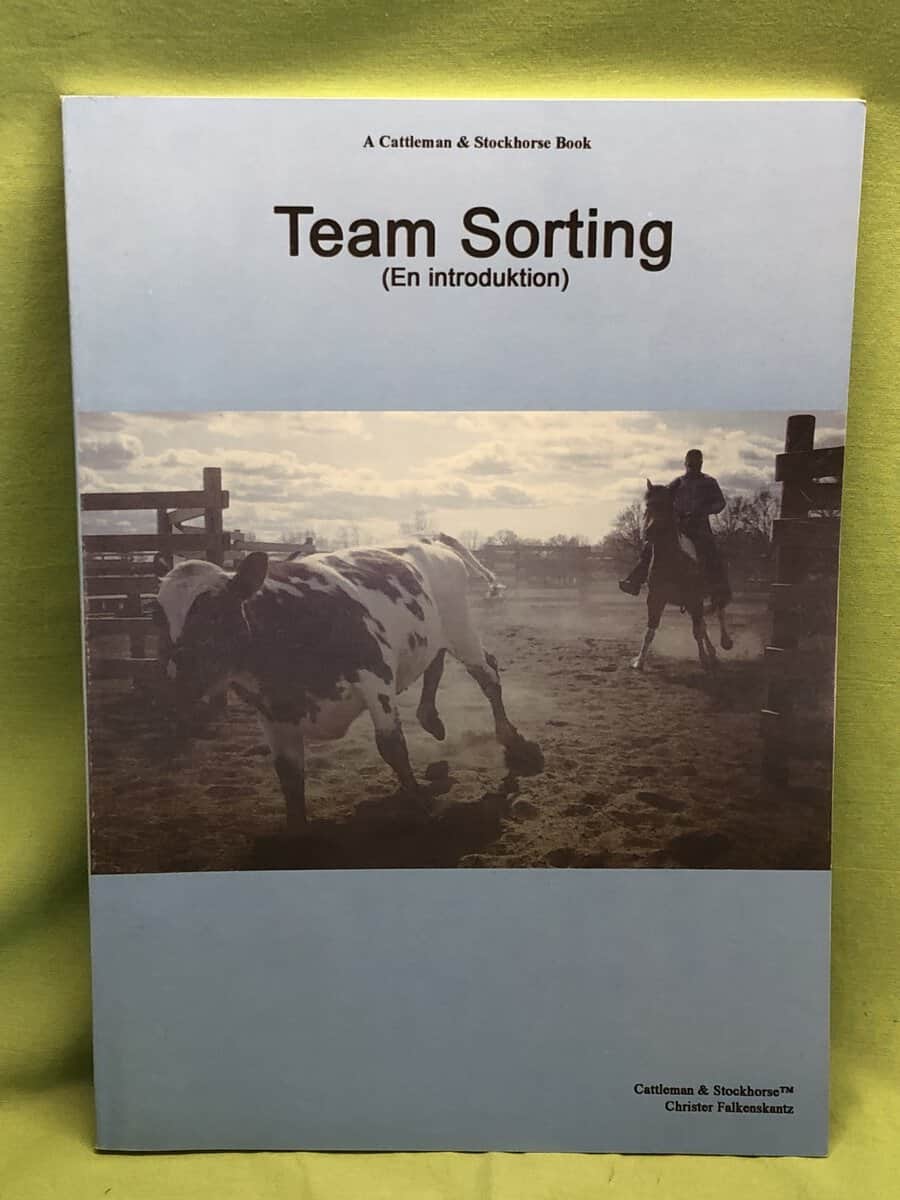 Christer Falkenskantz : Team sorting - en introduktion